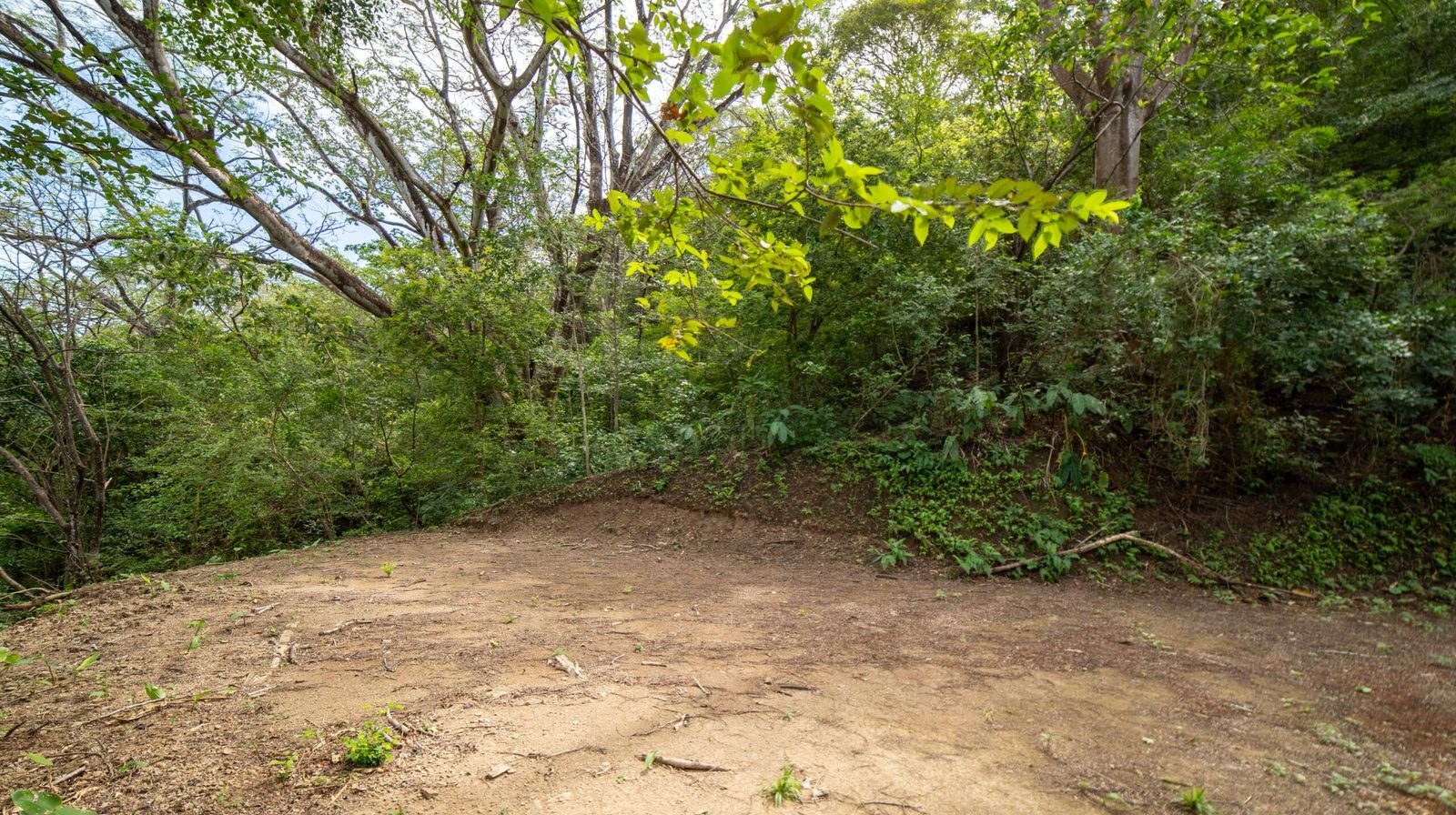 The building pad and surrounding dry forest