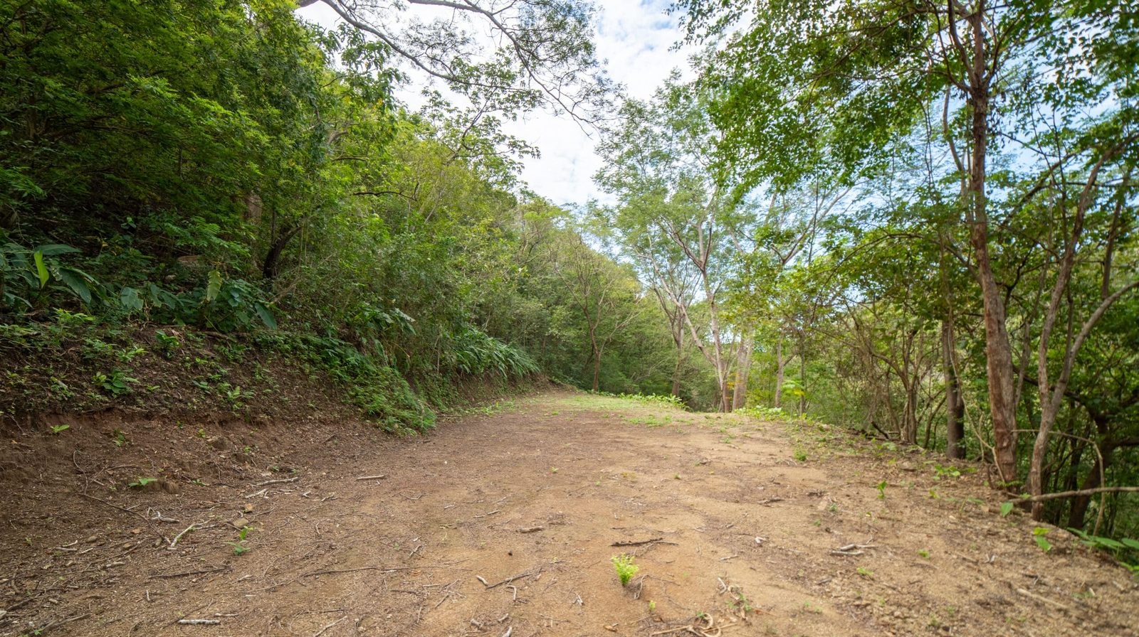 Access track on the lot