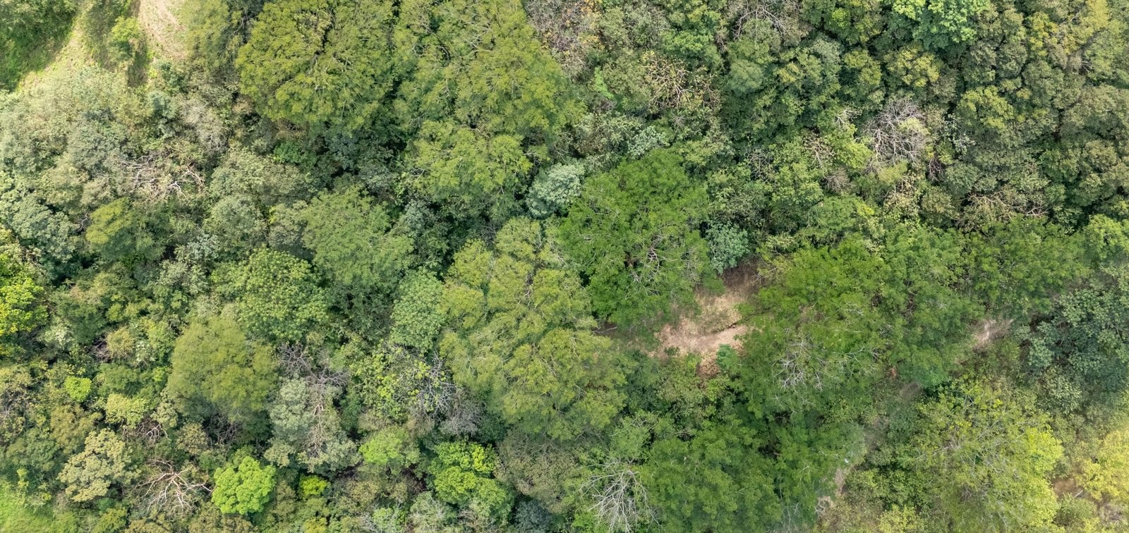 Aerial view over Finca La Encantada