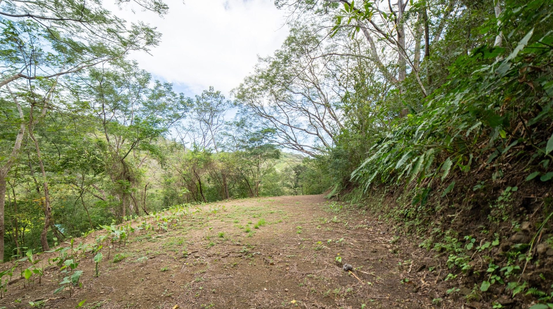 The road at the lot entrance
